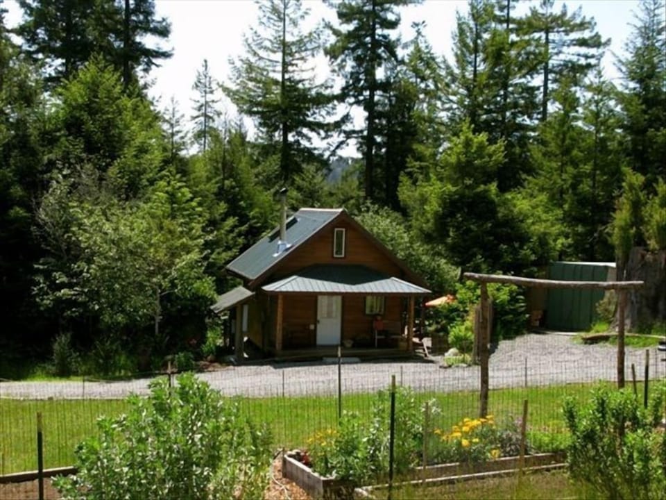 Peaceful locale in redwoods, near gardens