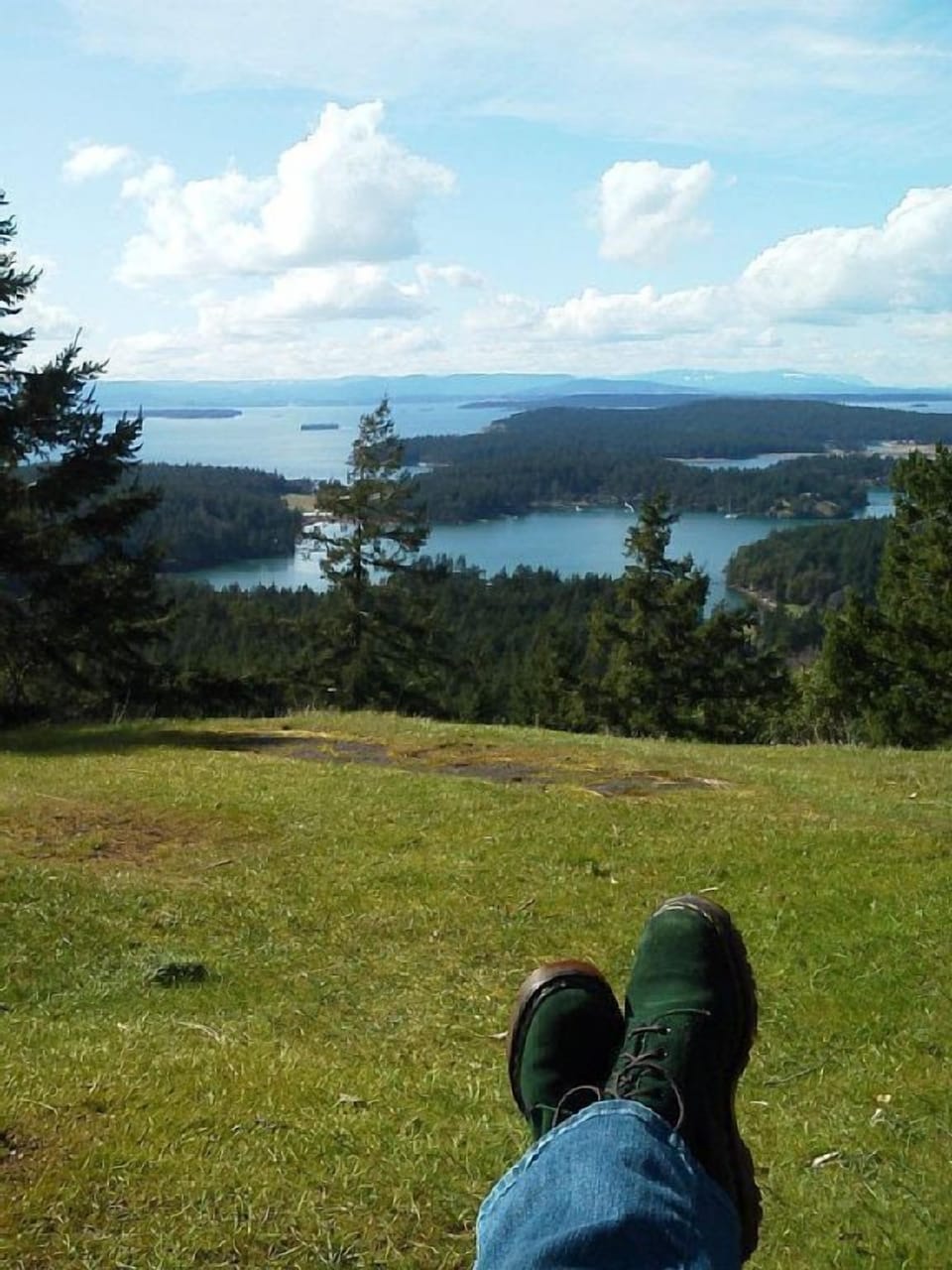 View from top of Mt Young