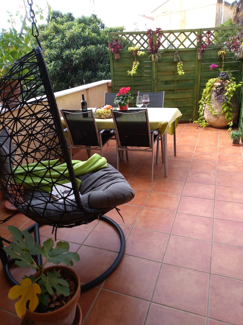 Terrace