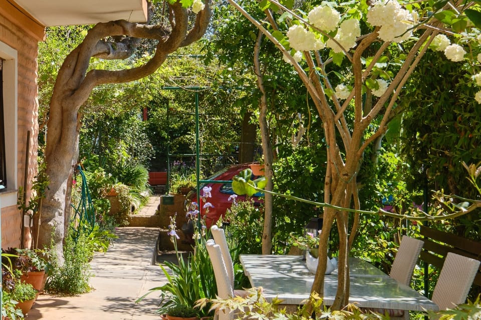 Terrace 1