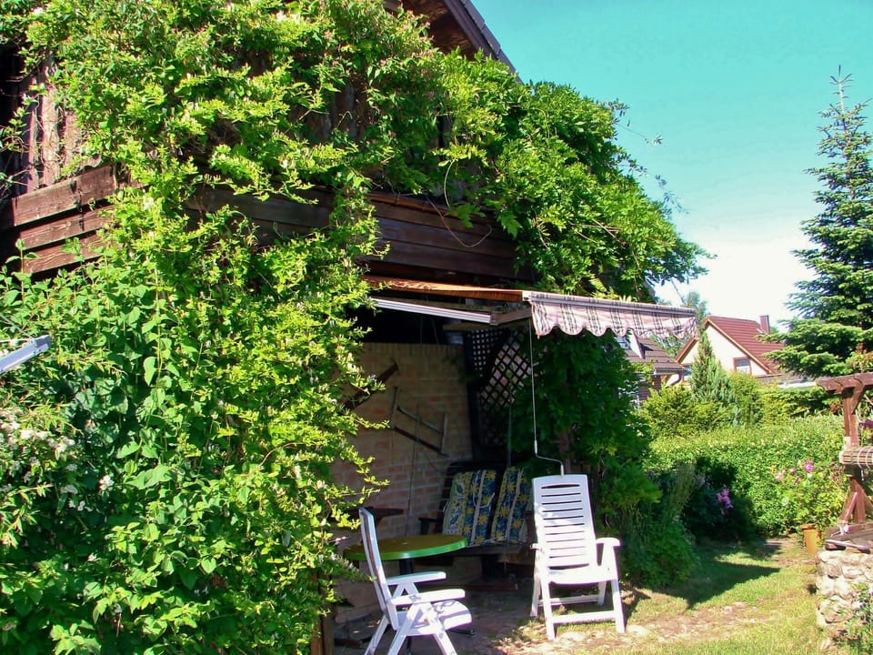 Garden [summer]