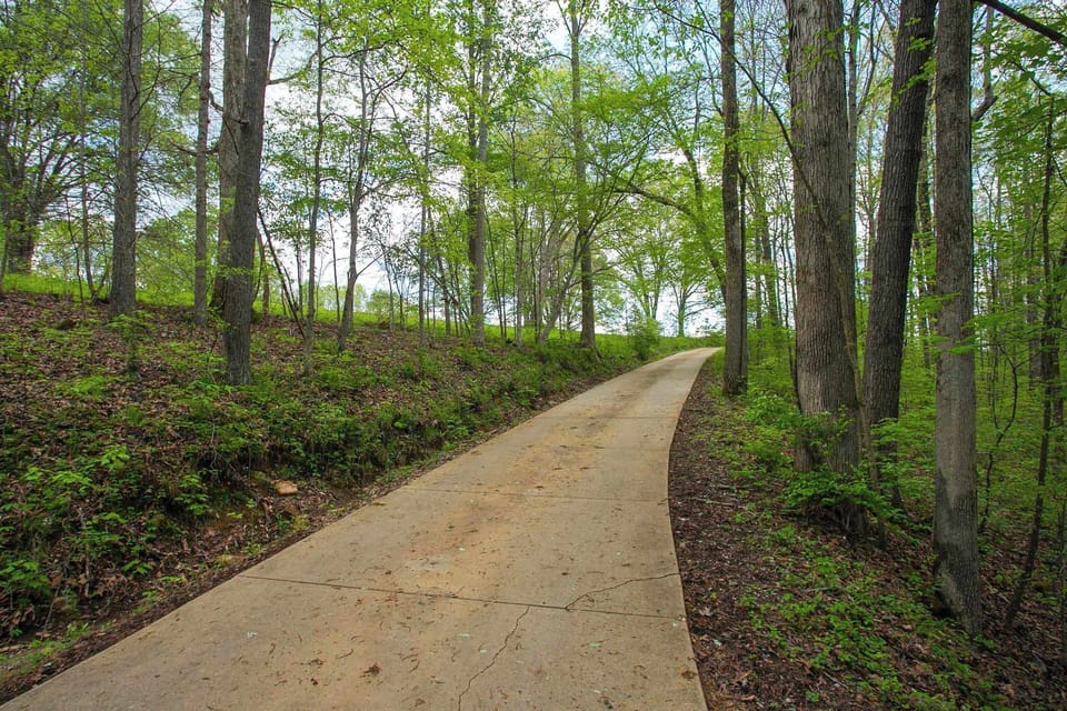 Driveway to the Cabin