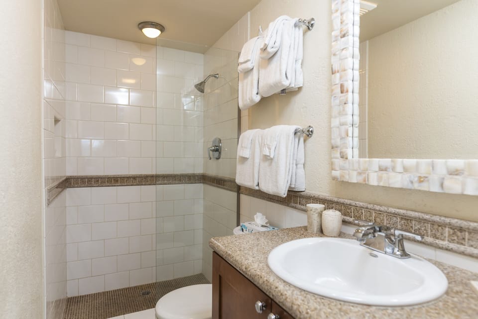 Nicely renovated bathroom with large shower. - Renovated bathroom with large shower.