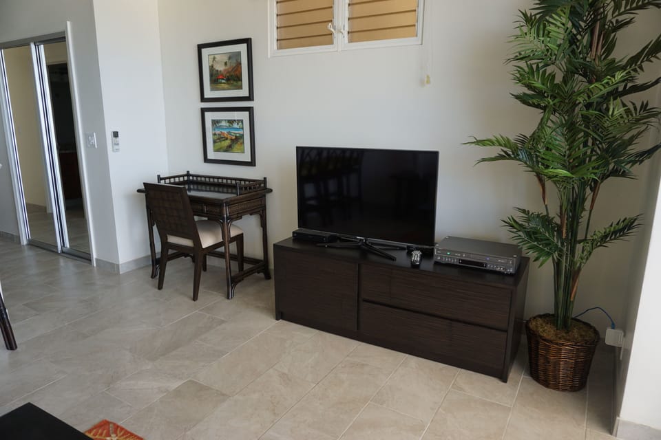 H.D. TV and desk.
