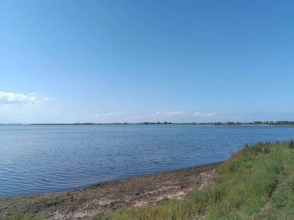 Region [summer] (>5 km)