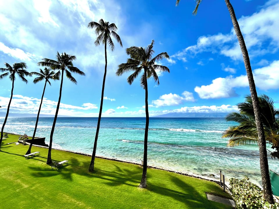 Patio View