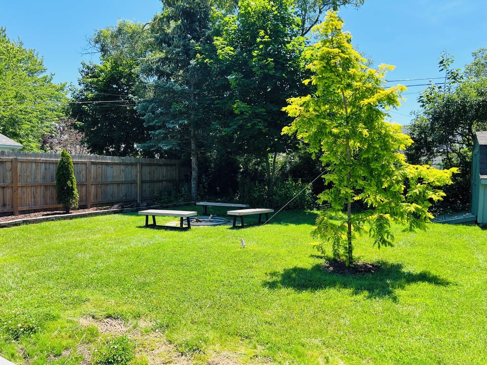 large yard to run and play.. fur baby will love to roam 