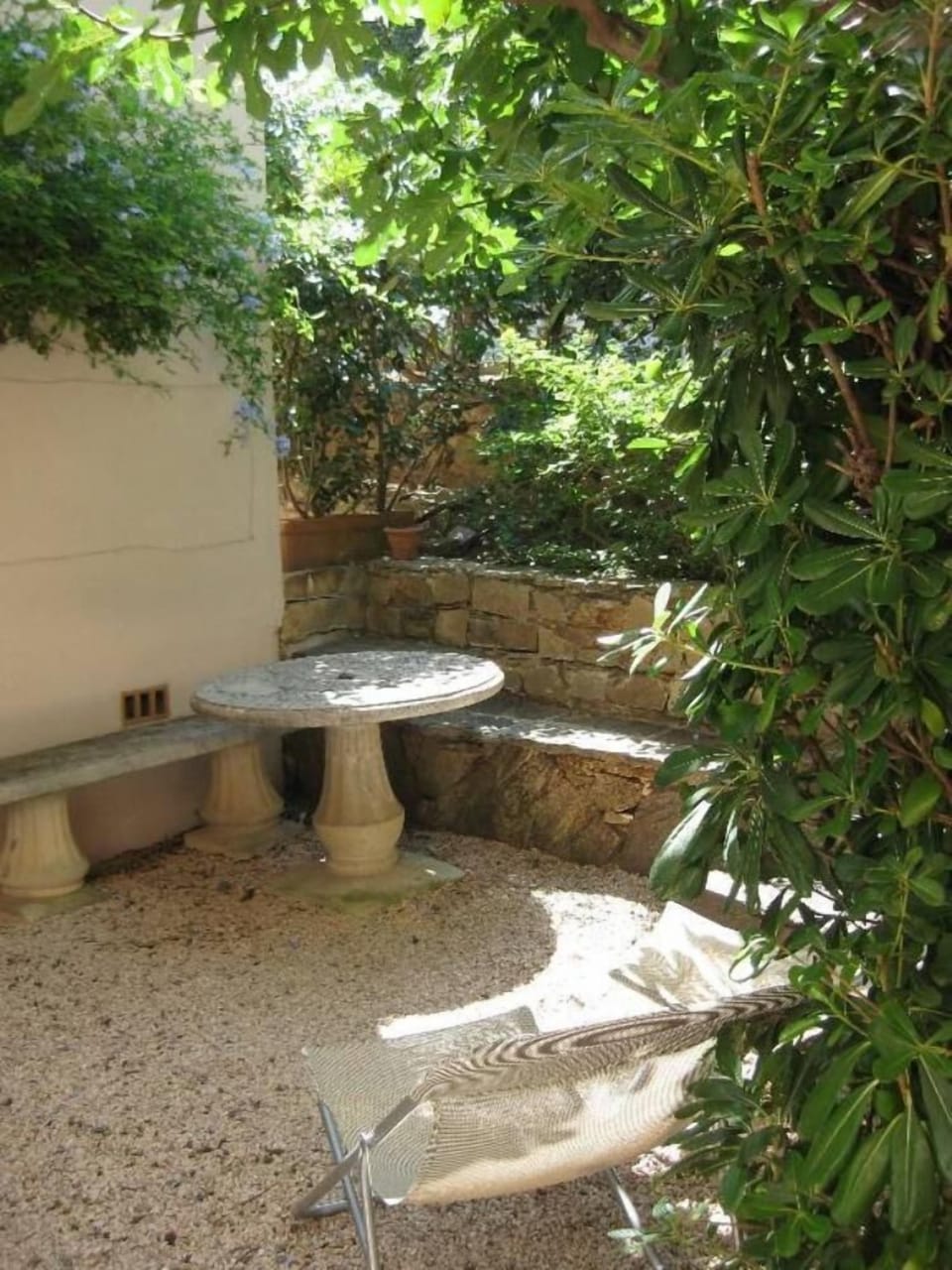 Small garden at the back of the house