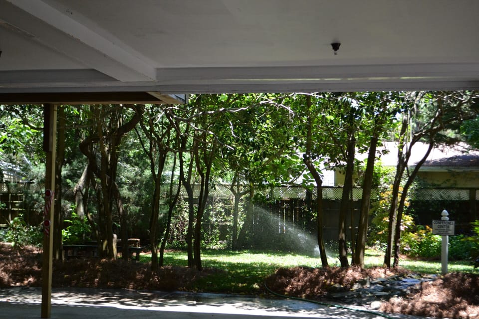 Grassy area
