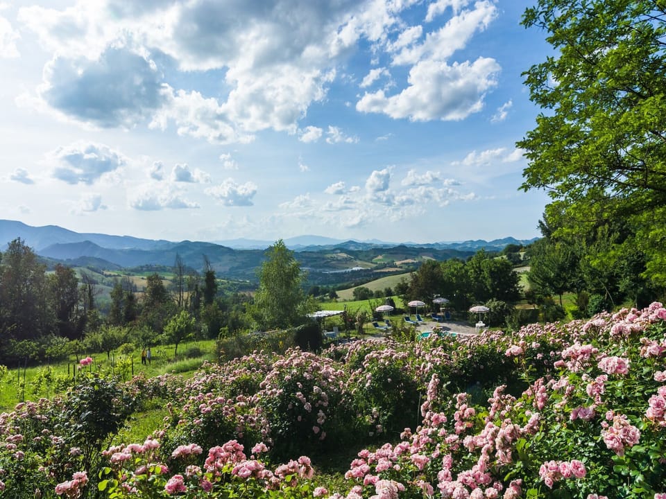 View from Holiday Home [summer]