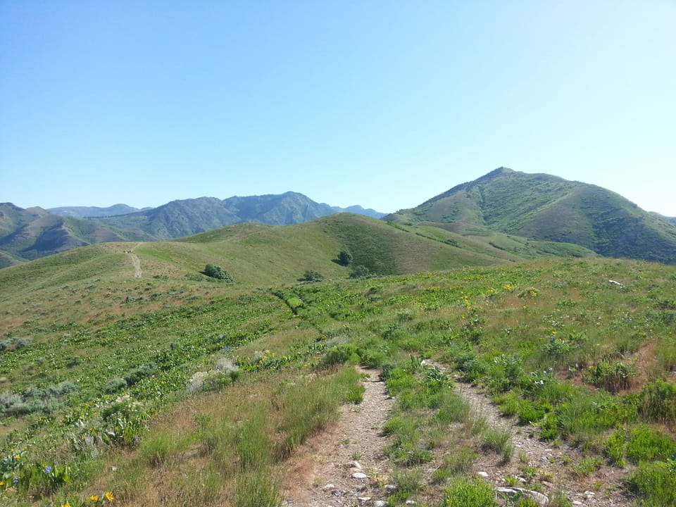 Summer hiking and mountain biking