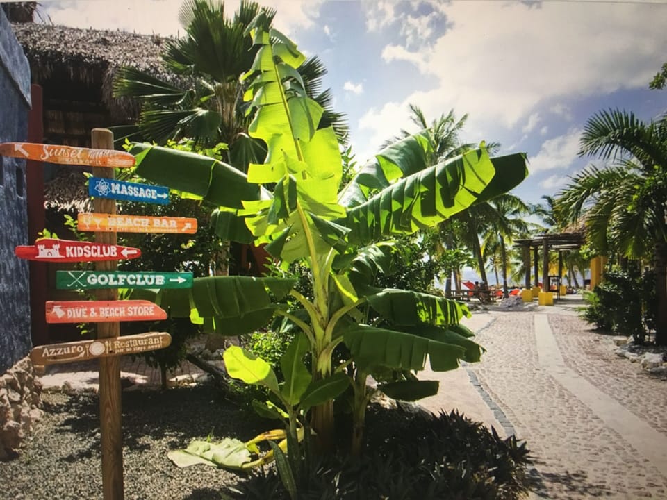Entrance Blue Bay Beach, free entrance for you, incl sunbeds etc