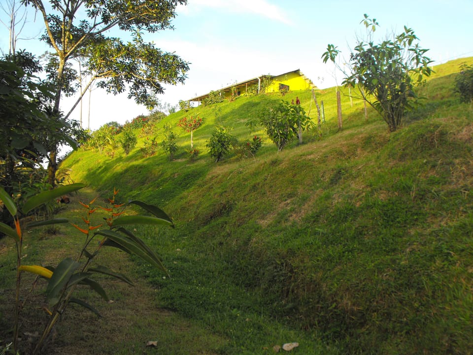 Cabin 3,Has 4 Bedrooms,Sleeps 12  Below cabin is the path going to Hidalgo river