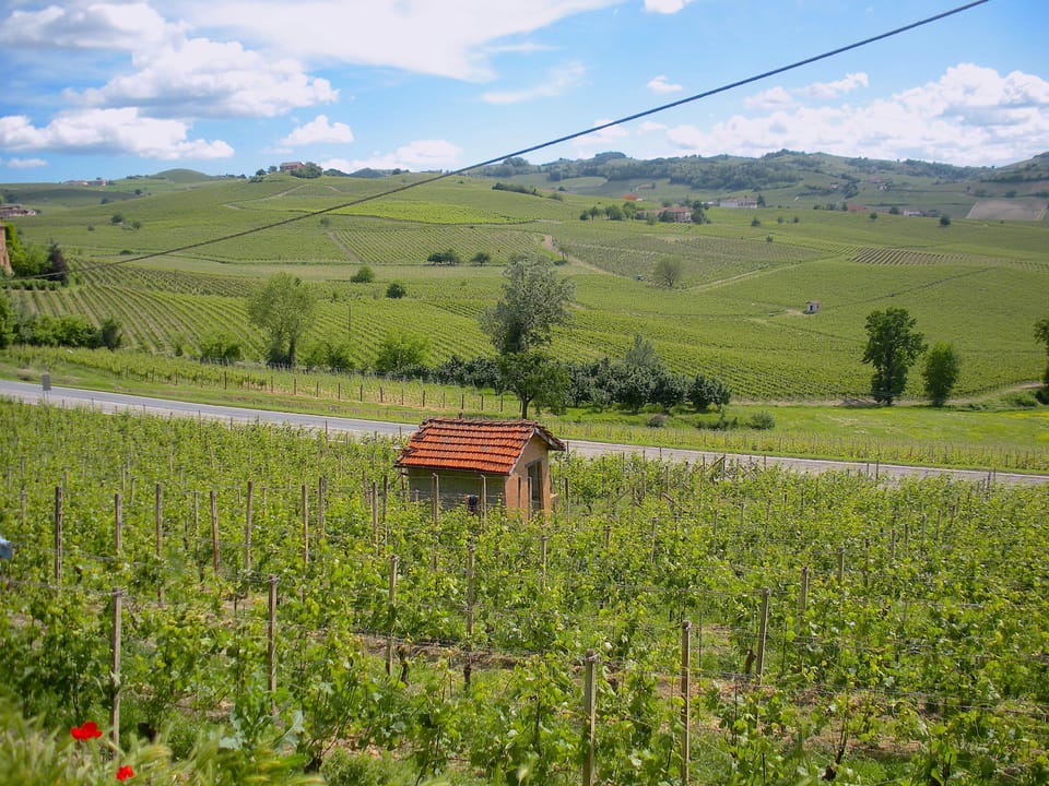 Il casotto di Italo - Italo’s shed
