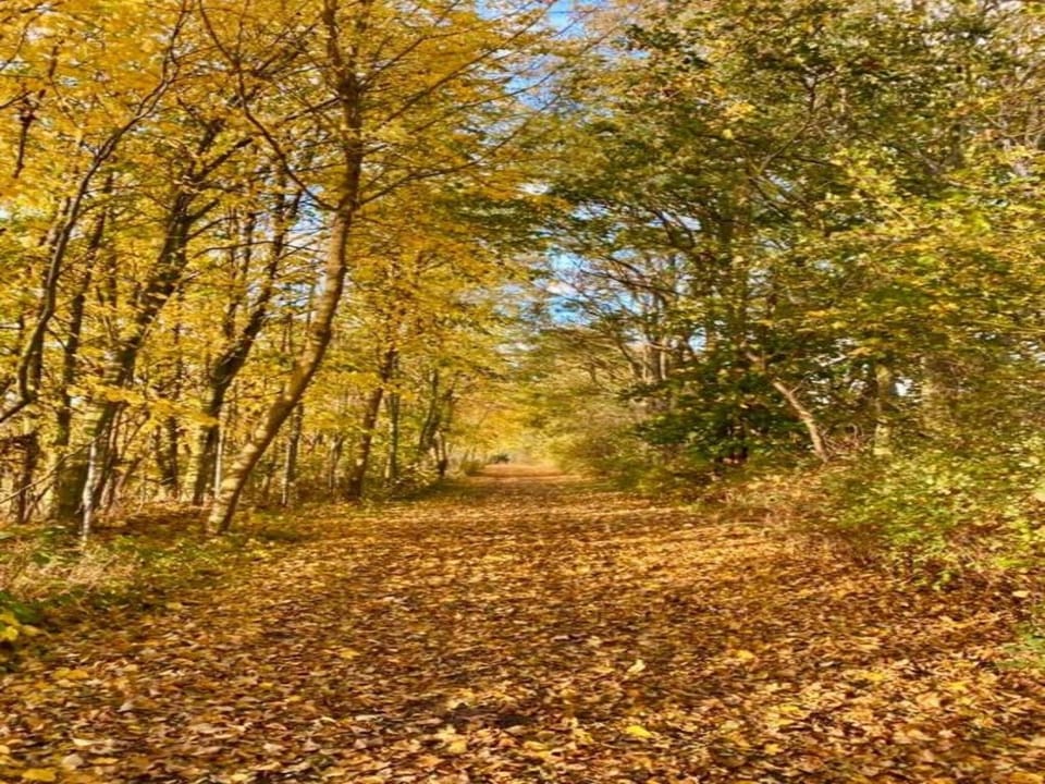 Region [summer] (>5 km)