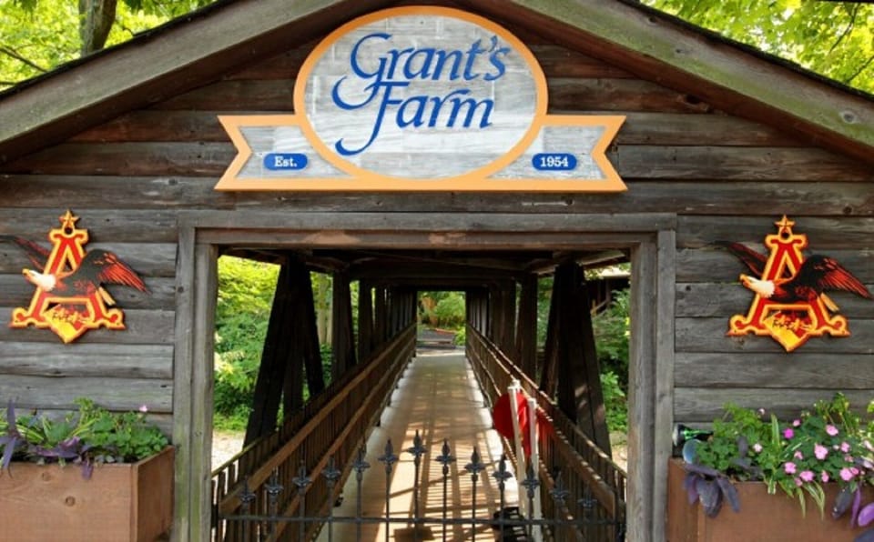 Grant's Farm nearby!
