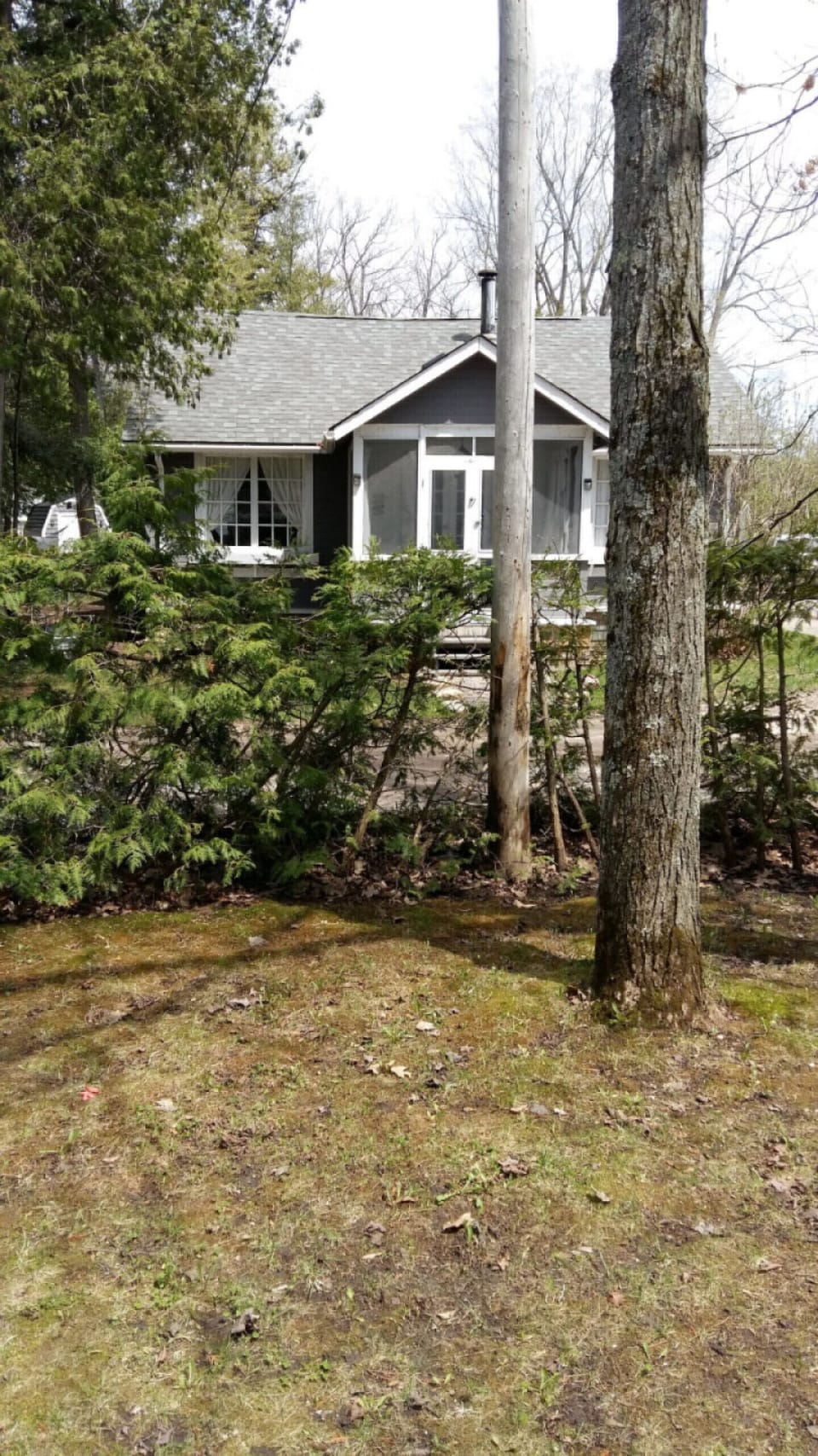 View of neighbours cottage from screened porch