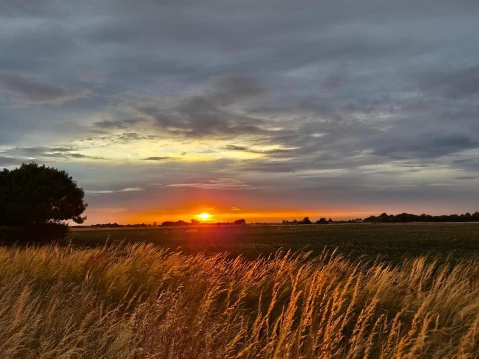 Region [summer] (>5 km)