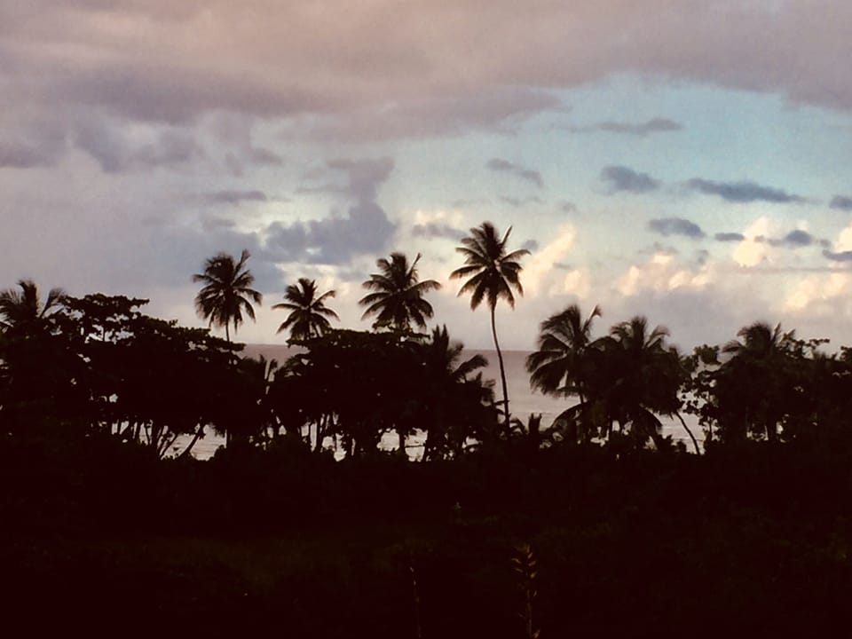 Evening view from the roof terrace.