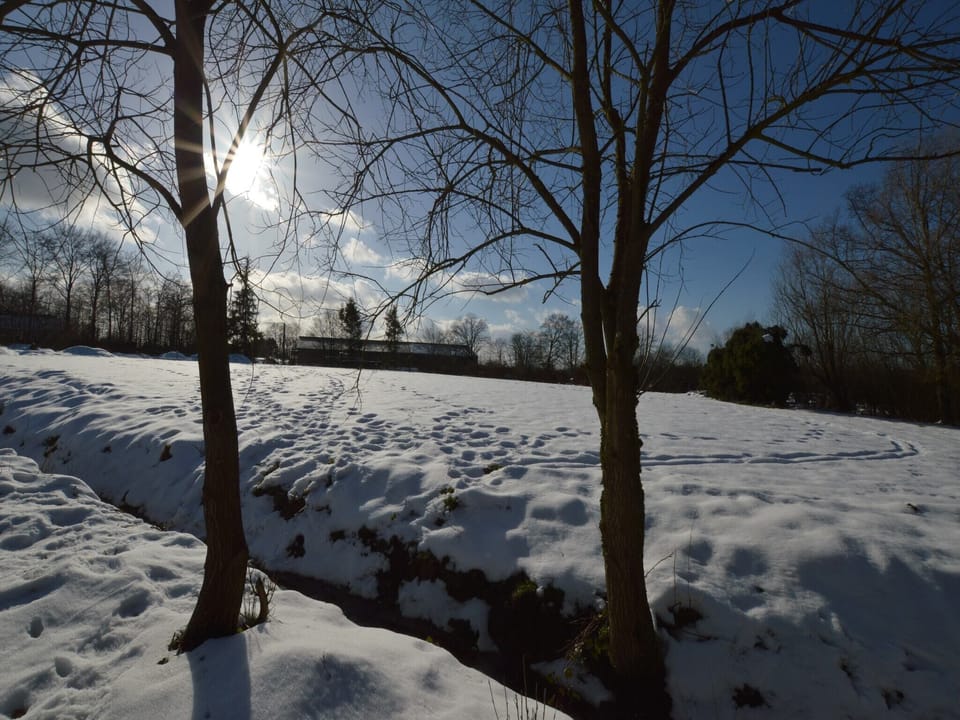 View from Holiday Home [winter]