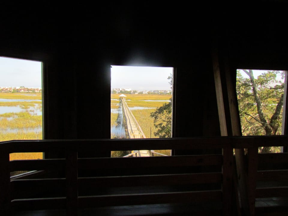 View from cat walk