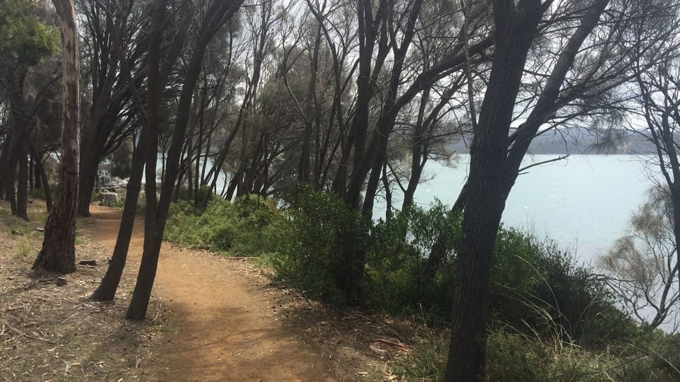 Walking / cycling track