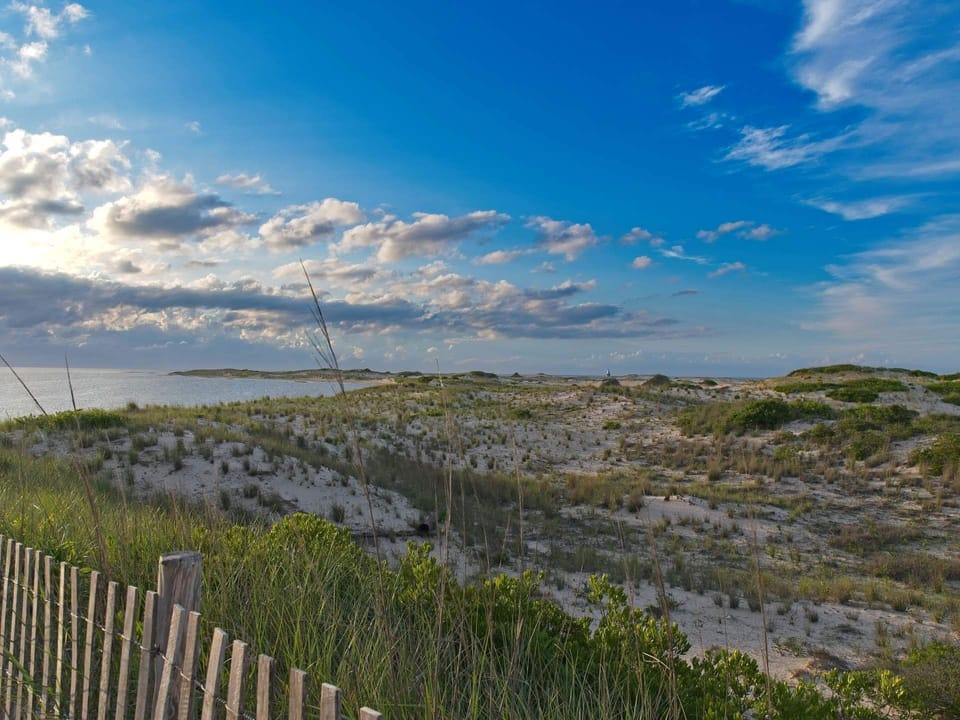 12 min drive to beautiful Cape Henlopen