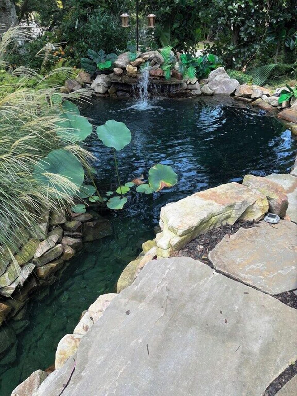 Front coy pond