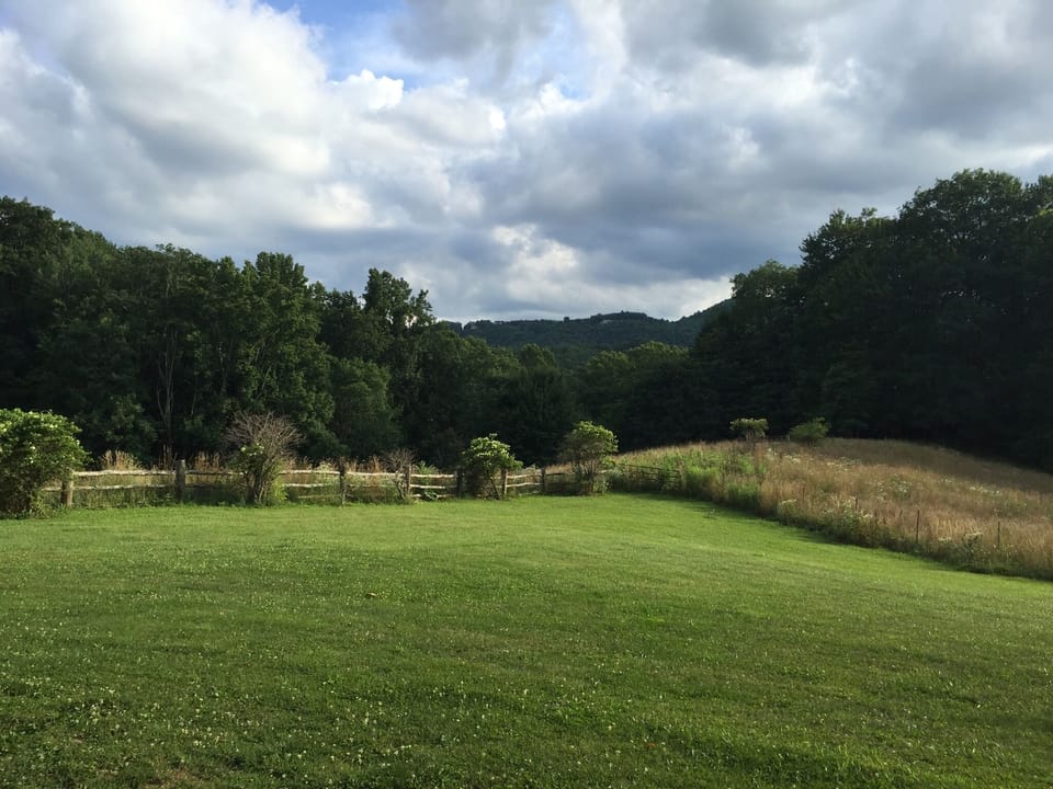 View from the right side of the front porch during the summer
