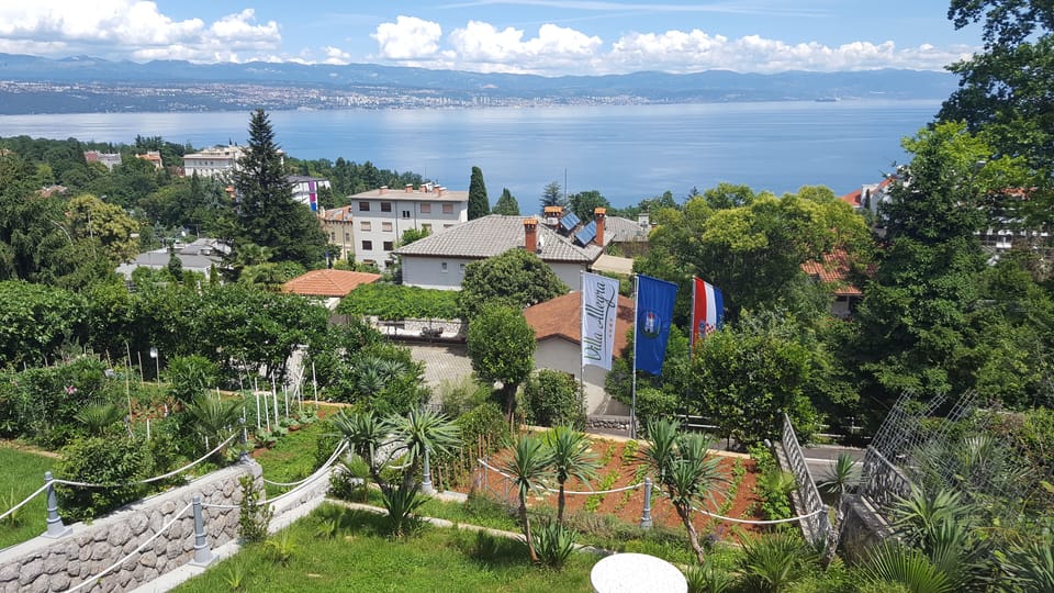 garden