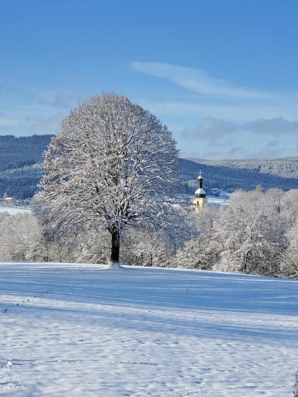 Snow and ski sports
