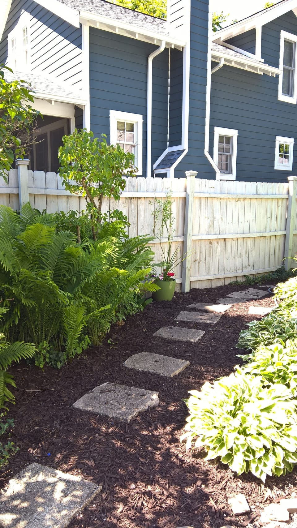 Backyard. 