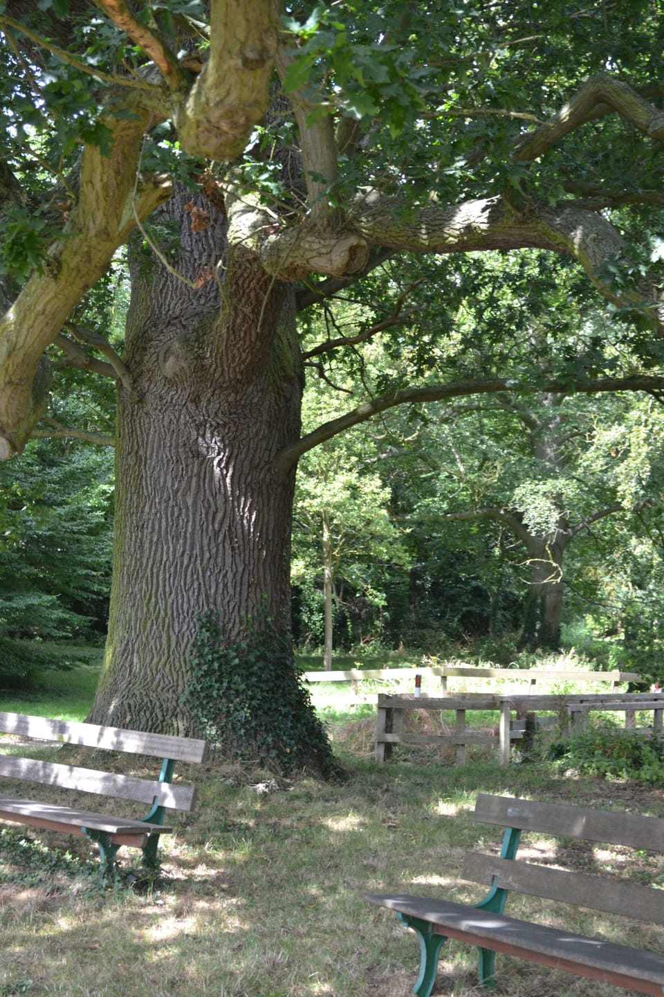 Next to one of Hilton's three ponds