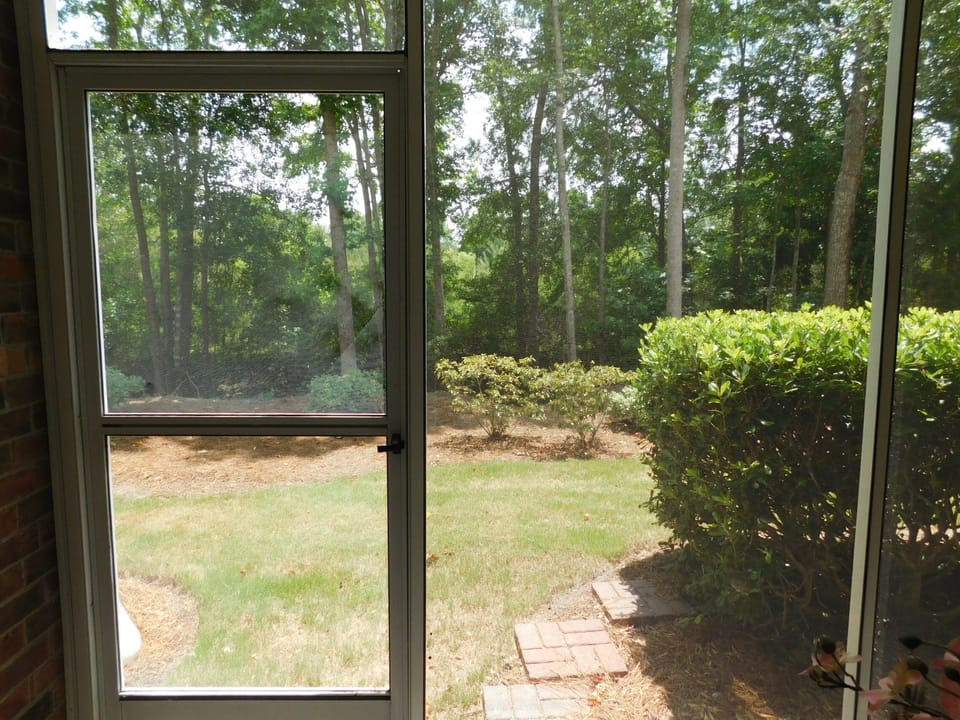 View from Porch