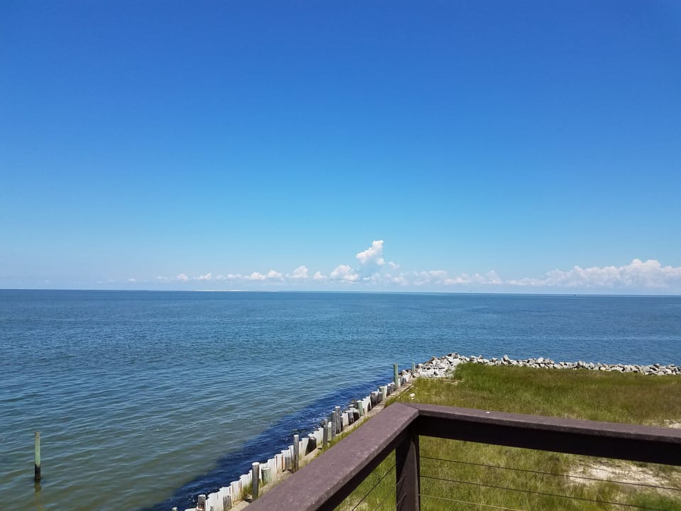 Deck View