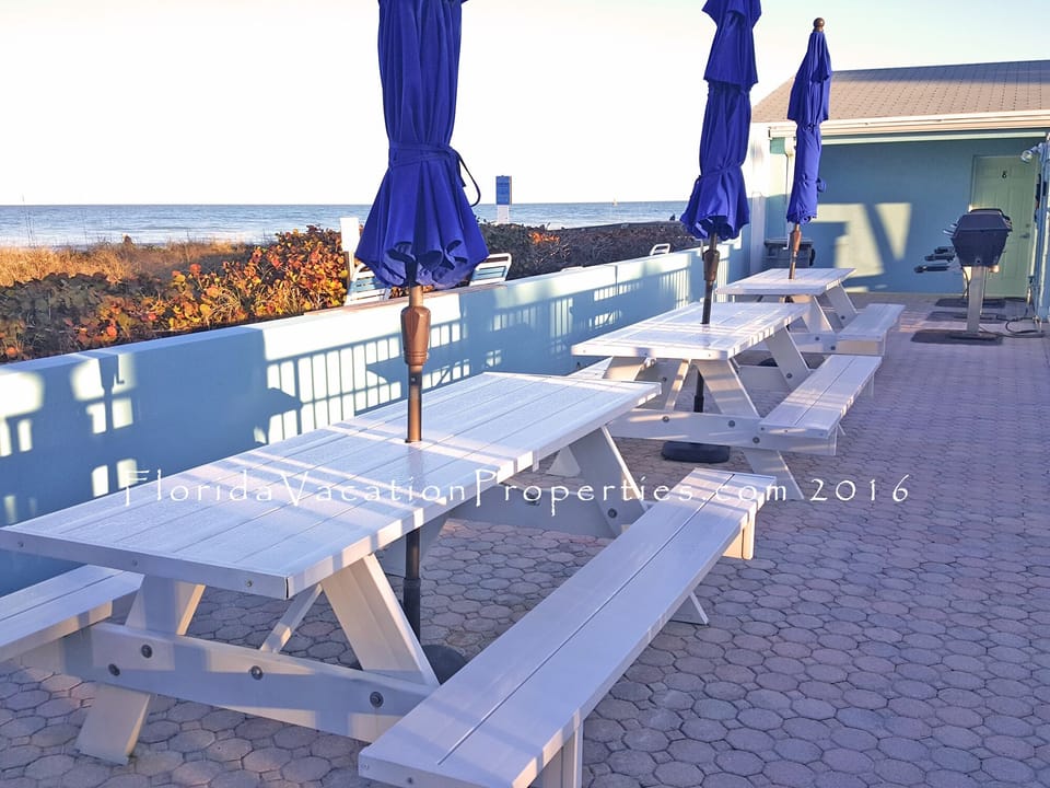 Beachfront picnic area