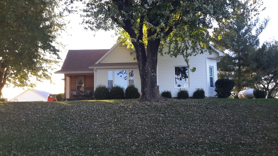 Front yard