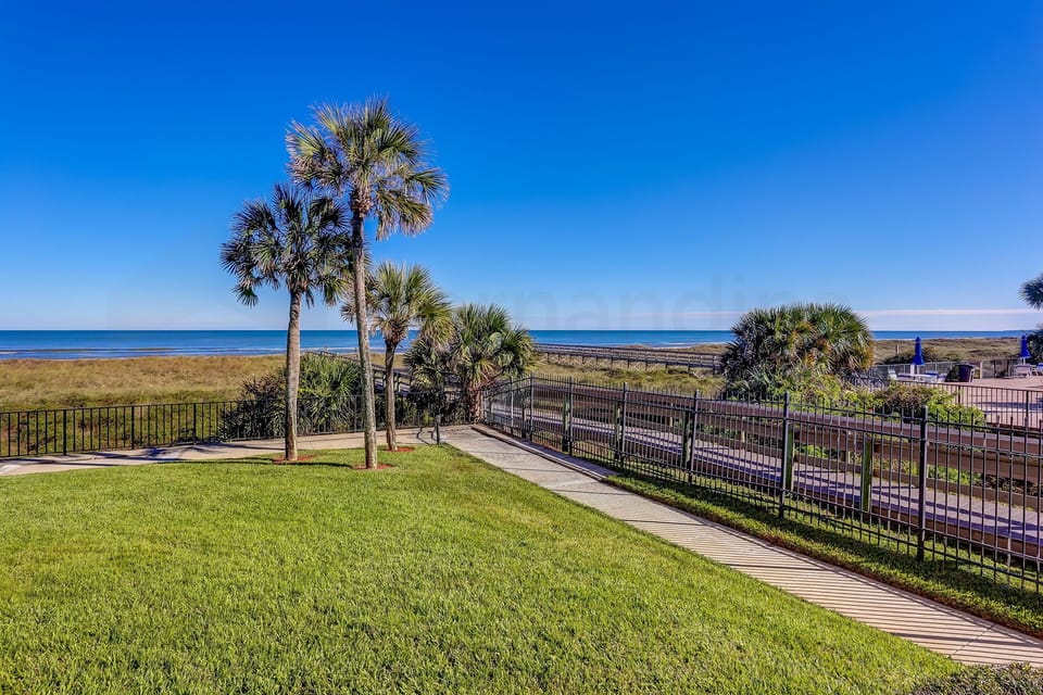 Ocean-Front Lawn view to South