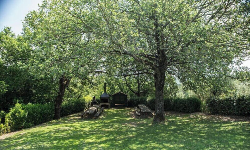 agriturismo-la-papessa-chianti-san-donato-farmhouse-tree