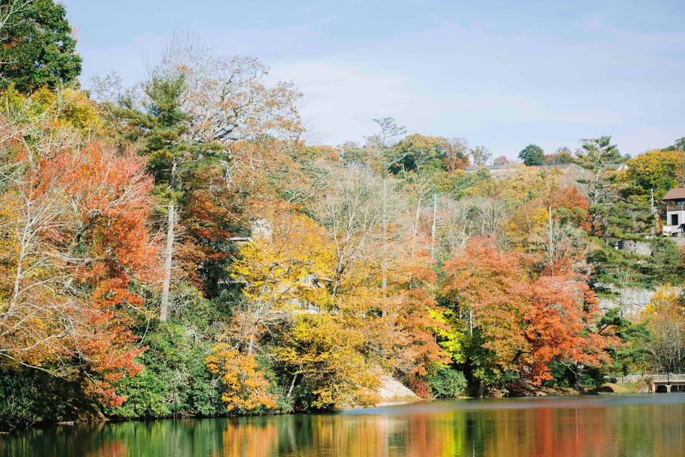 Grounds at Chetola - October 2