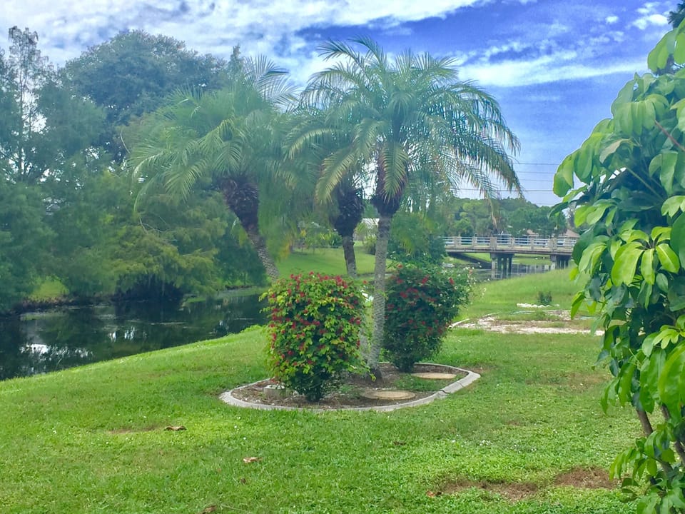 Canal behind the house