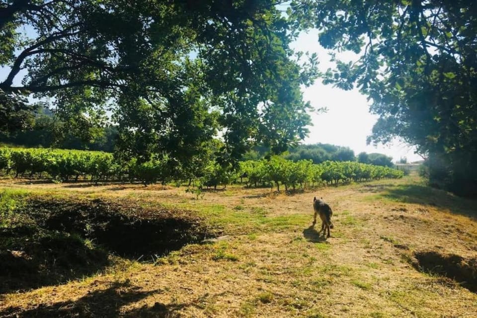Surroundings [summer] (1-5 km)