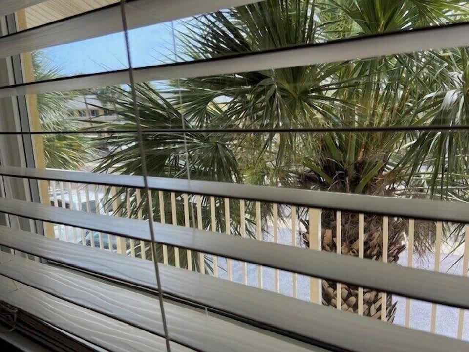 Tropical View