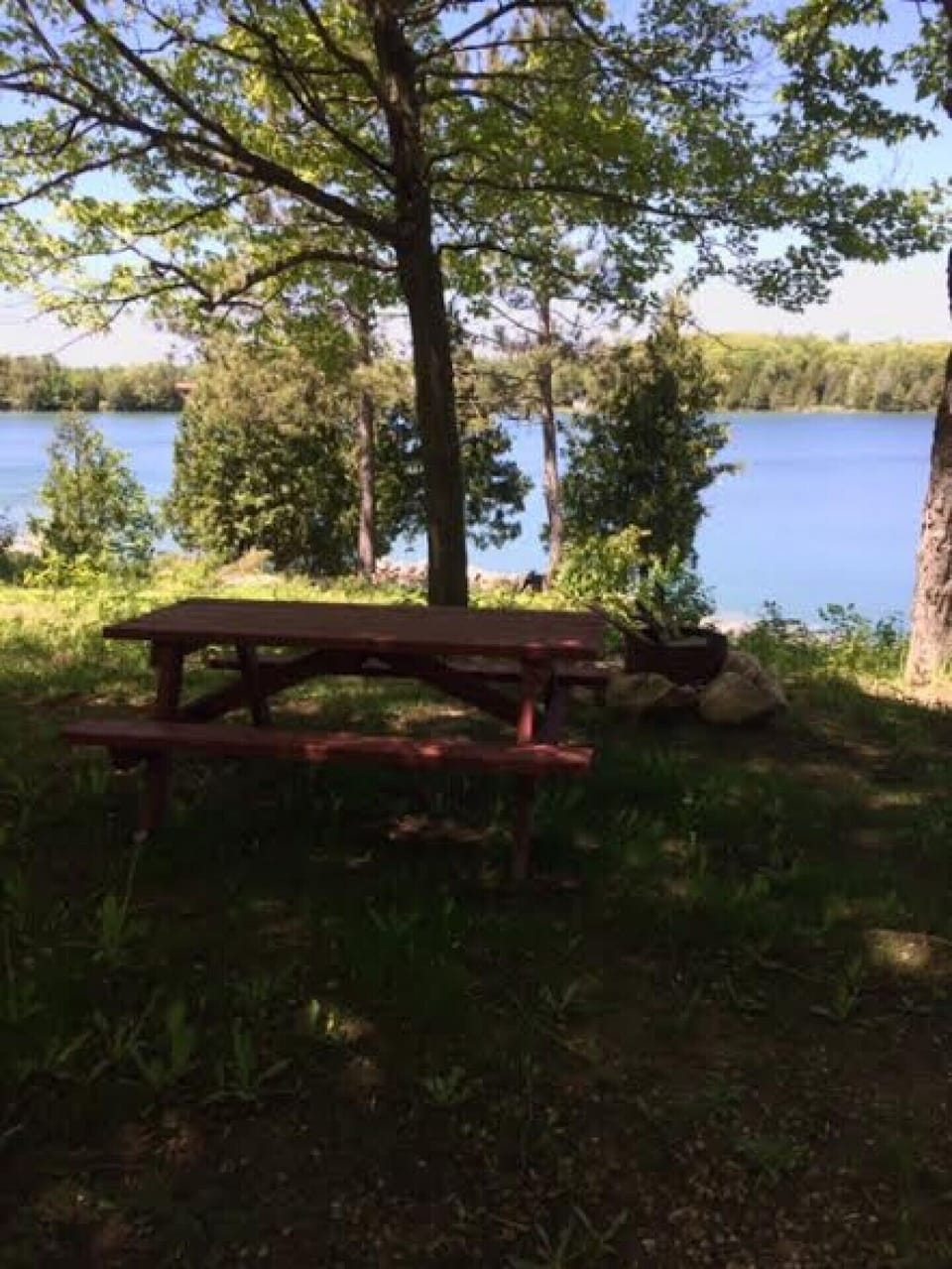 Fire pit and picnic table 
beside cottage