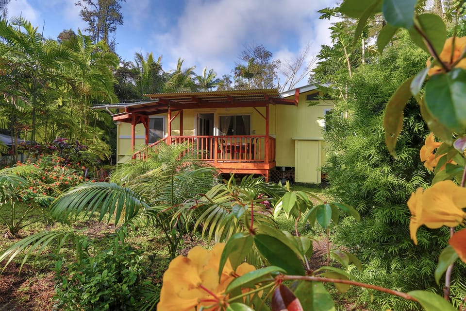 Wild Tropical Garden