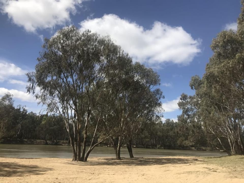 The Murray River, only a short walk from the Murray Street Retreat. 