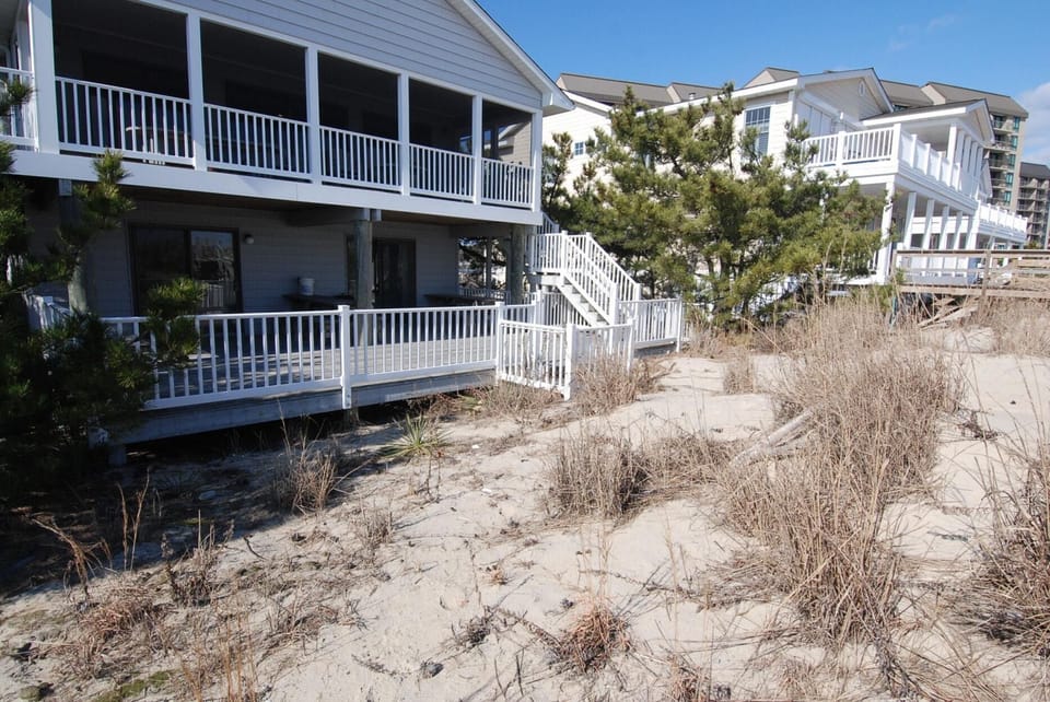 Exterior,Back Yard,