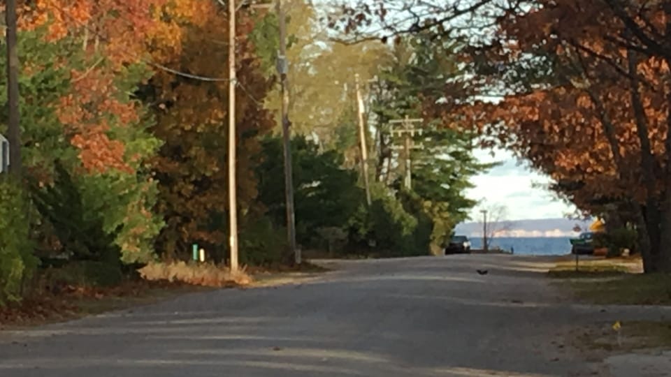 Walking distance to Lake Michigan 