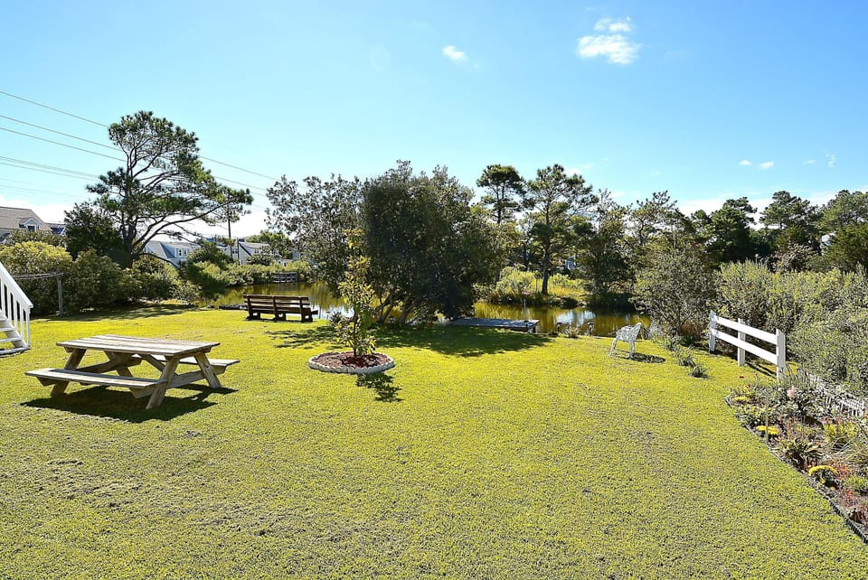 Exterior,Back yard,
