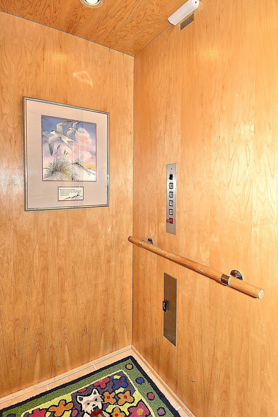 Lower Level,Elevator,